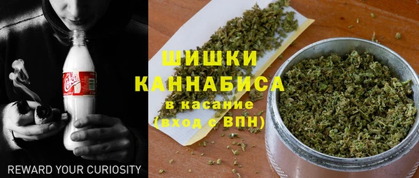 ПСИЛОЦИБИНОВЫЕ ГРИБЫ Медвежьегорск