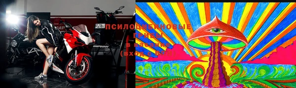 ПСИЛОЦИБИНОВЫЕ ГРИБЫ Медвежьегорск