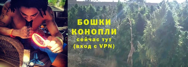 ПСИЛОЦИБИНОВЫЕ ГРИБЫ Медвежьегорск