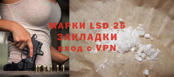 ПСИЛОЦИБИНОВЫЕ ГРИБЫ Медвежьегорск
