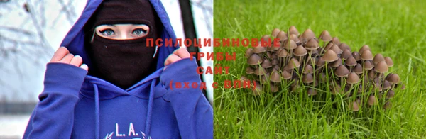 мескалин Медногорск